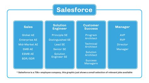 salesforce 新卒：クラウド時代のキャリアスタート